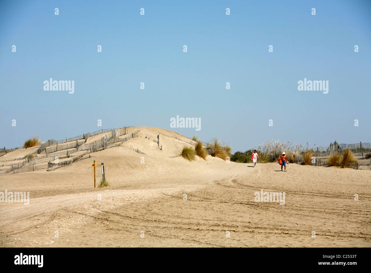Sand dunes at lEspiguette beach in the western Camargue coast, Provence, France. Stock Photo