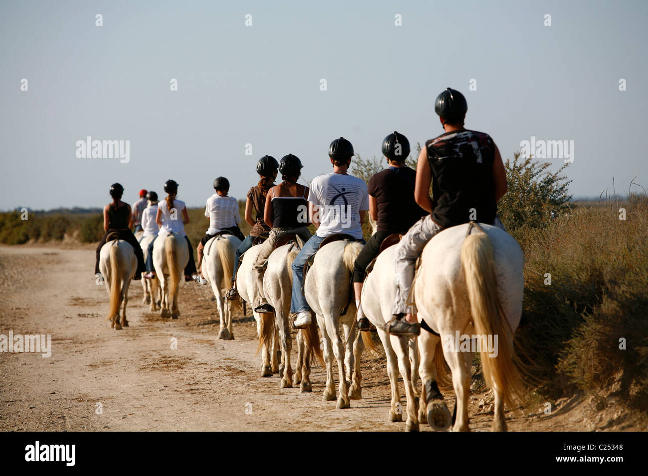 People riding horses near the area of the Etang du Vaccares reserve, Camargue, Provence, France. Stock Photo