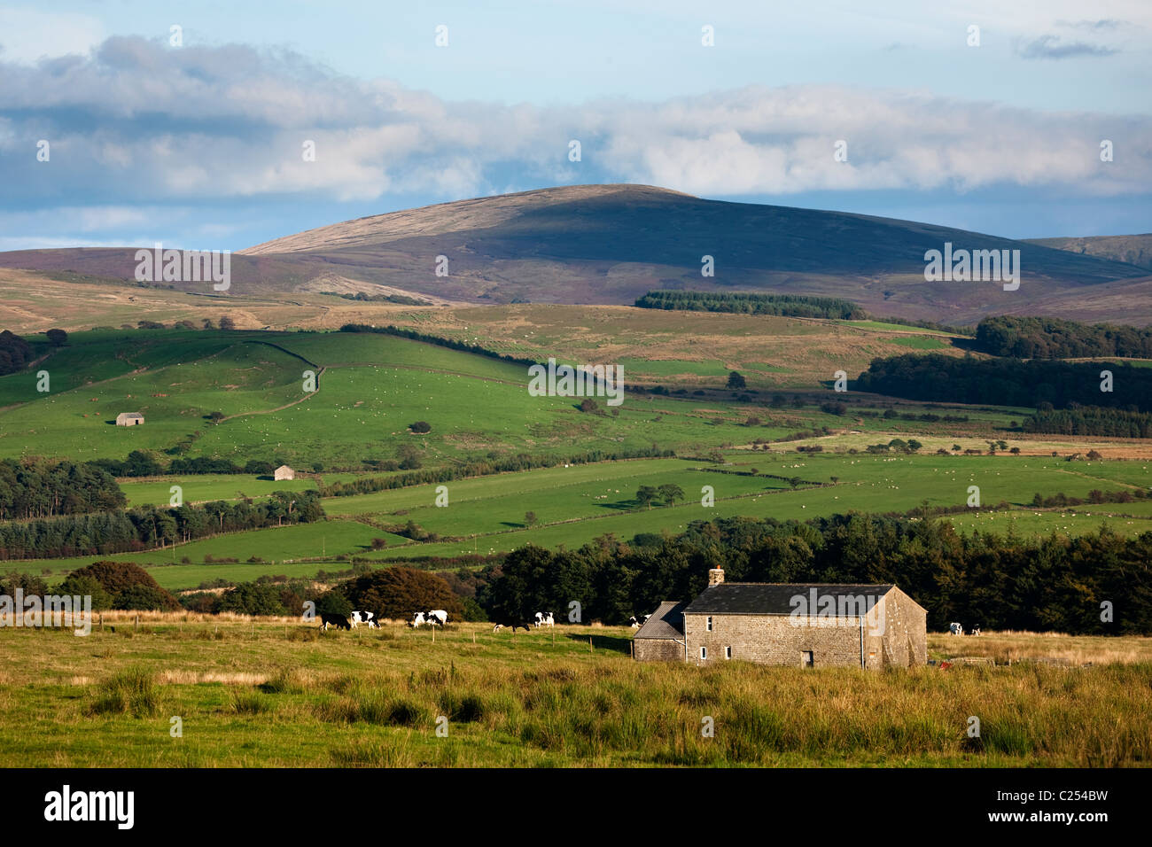 Pastoral scene across the Forest of Bowland, Lancashire Stock Photo