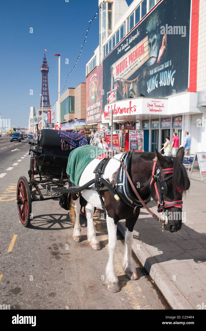 A horse drawn carriage on the promenade at Blackpool Beach in Lancashire, England, UK Stock Photo