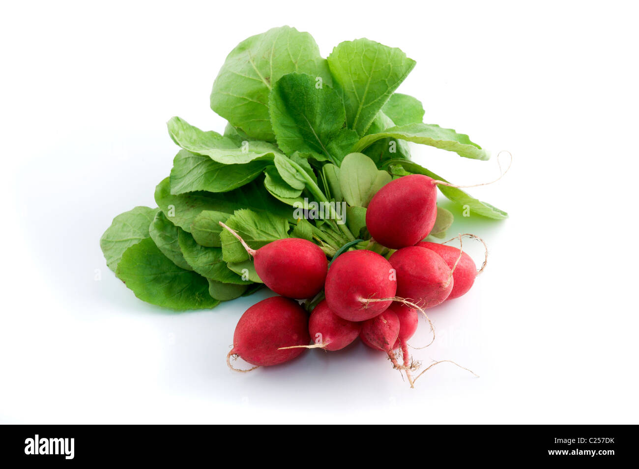 European radish on a white background Stock Photo