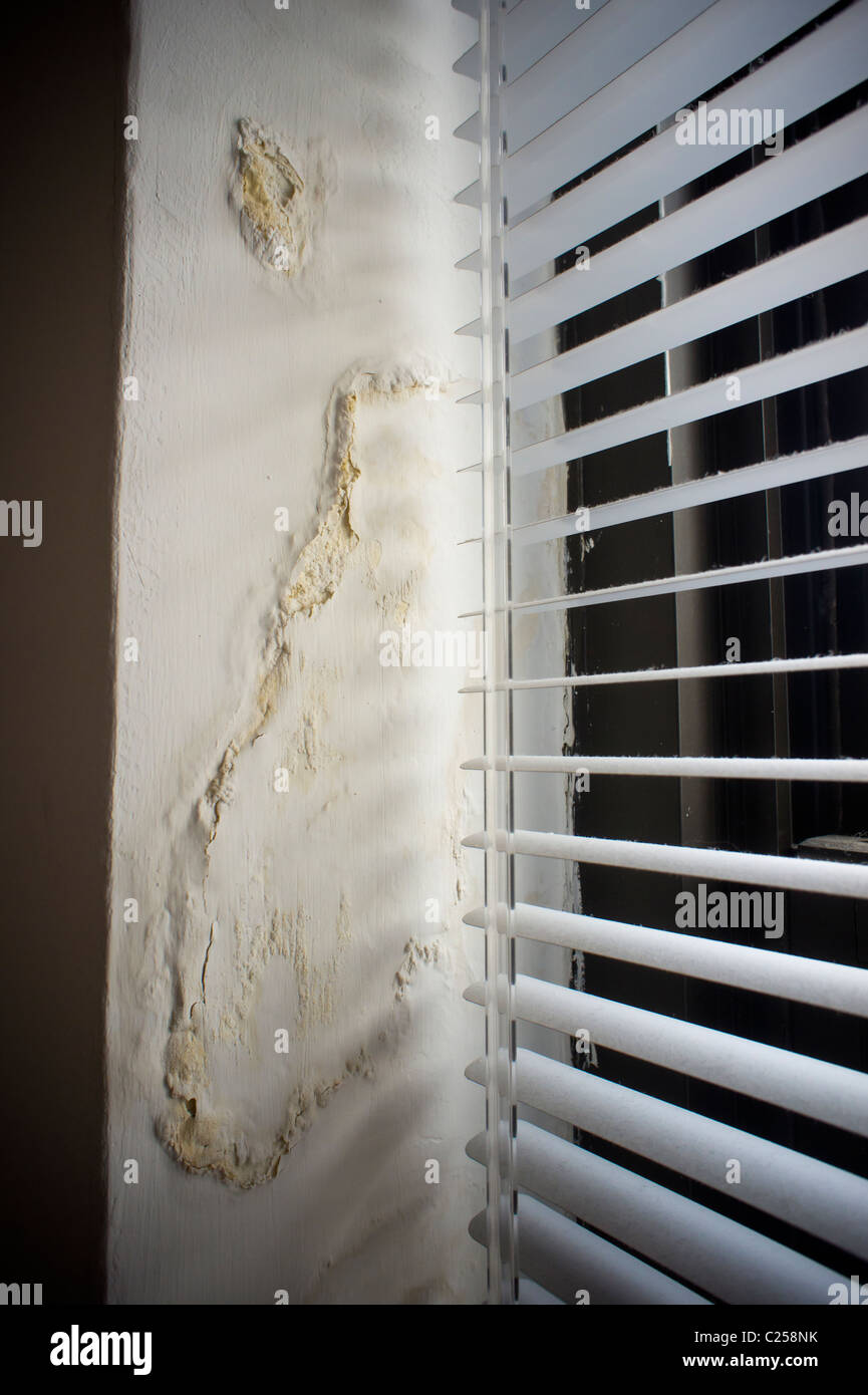 A wall damaged by a water leak in an apartment building in New York is