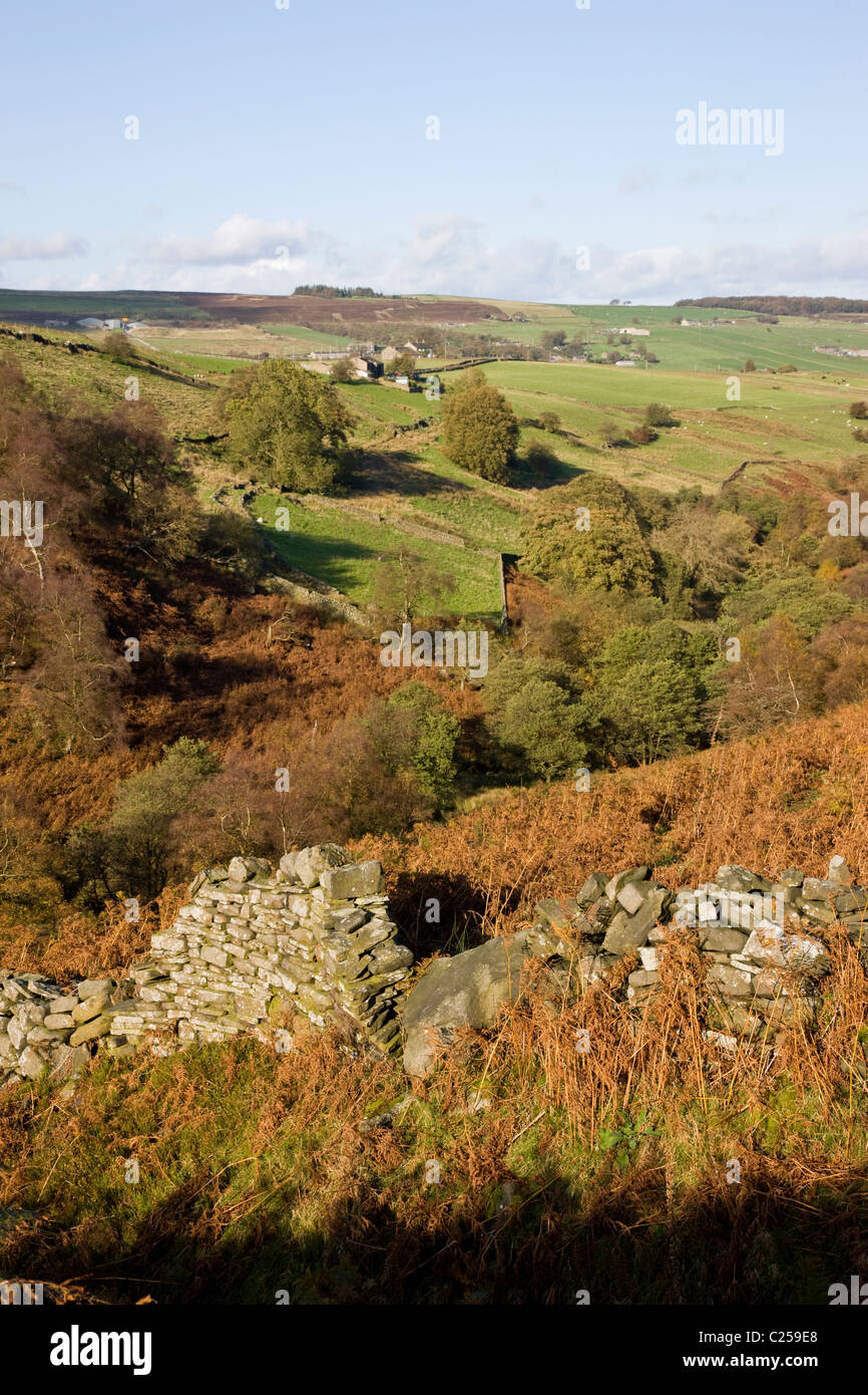 View of farmland along the Bronte Way just above the Bronte Waterfall Stock Photo