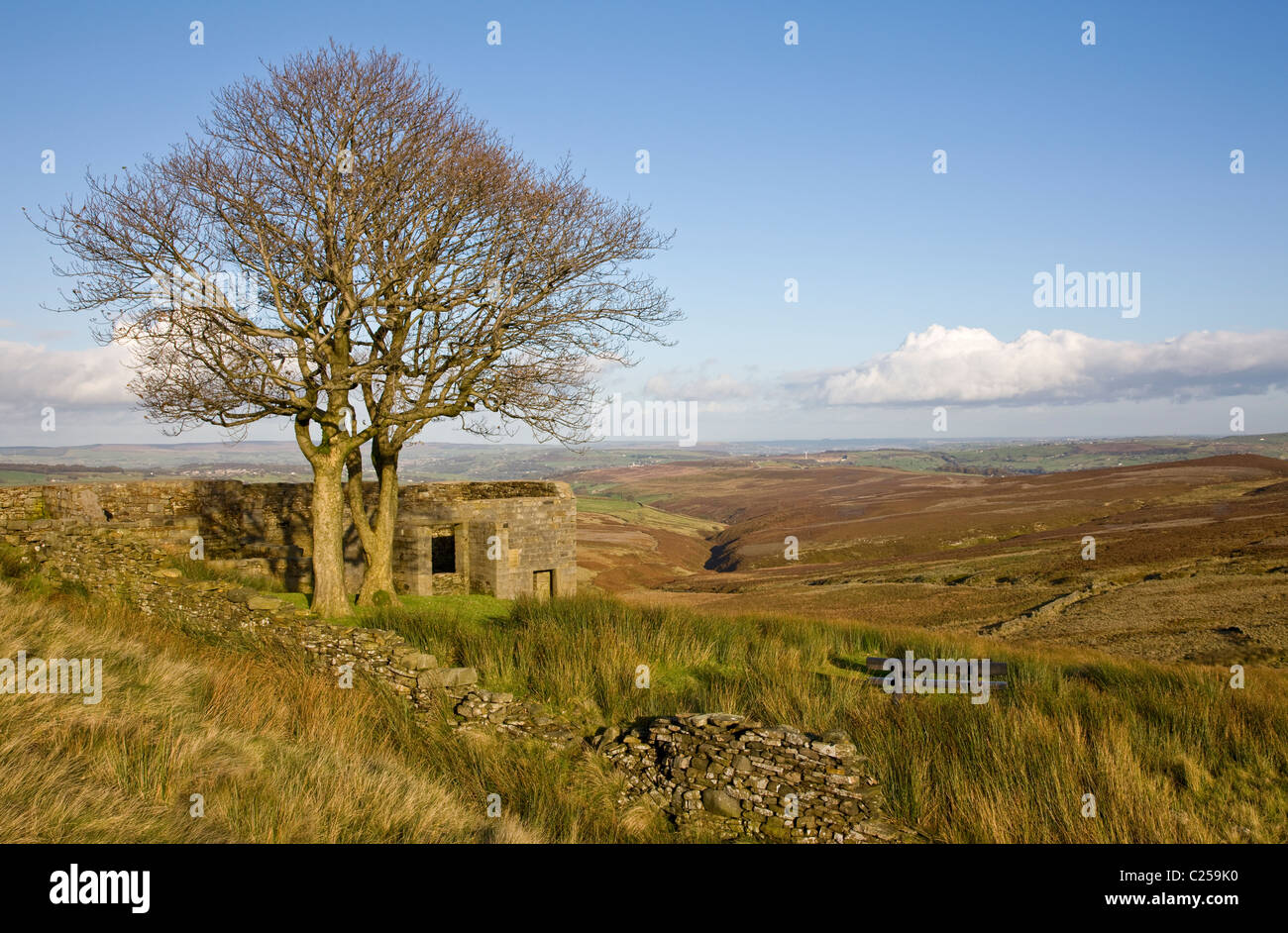 South dean beck hi-res stock photography and images - Alamy