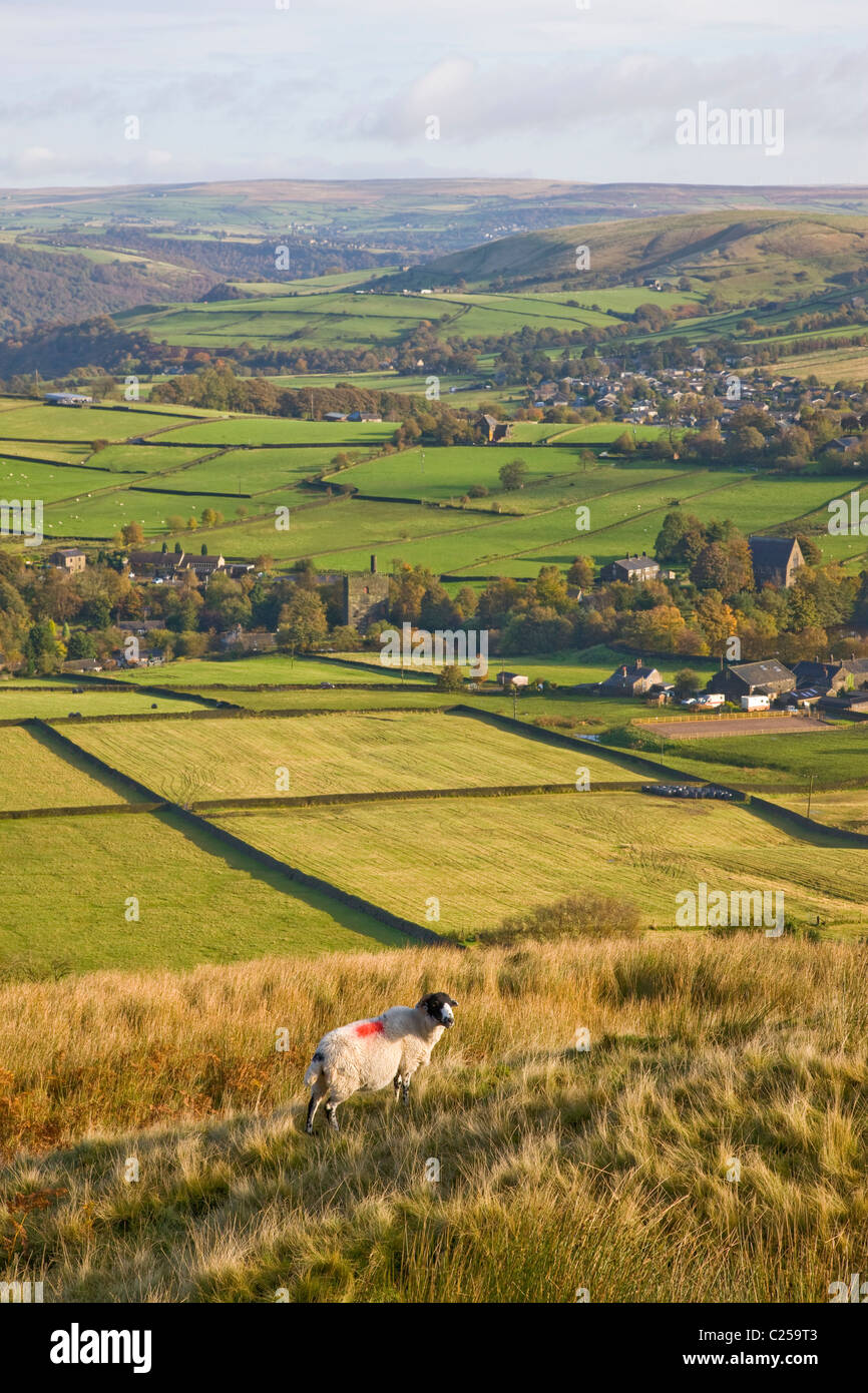View over farmland from Langfield Edge Stock Photo