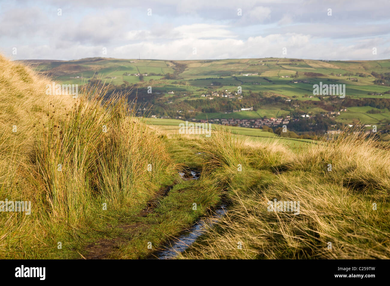 Pathway and farmland from Langfield Edge Stock Photo