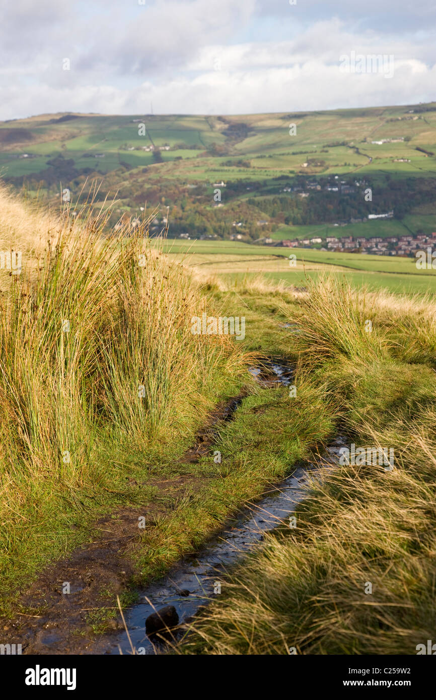 Pathway and farmland from Langfield Edge Stock Photo
