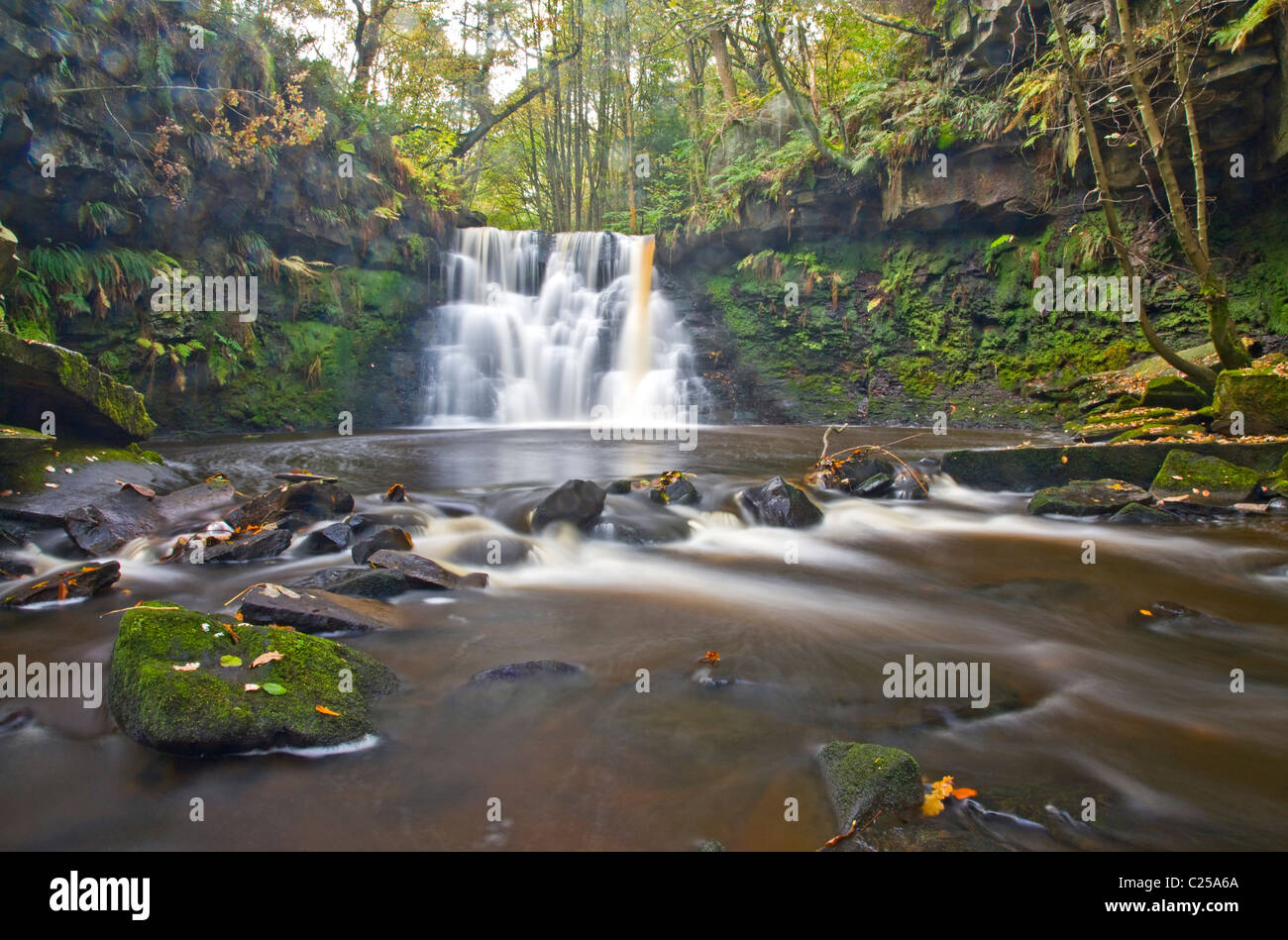 Goit Stock Falls in heart of Goit Stock Wood Stock Photo - Alamy