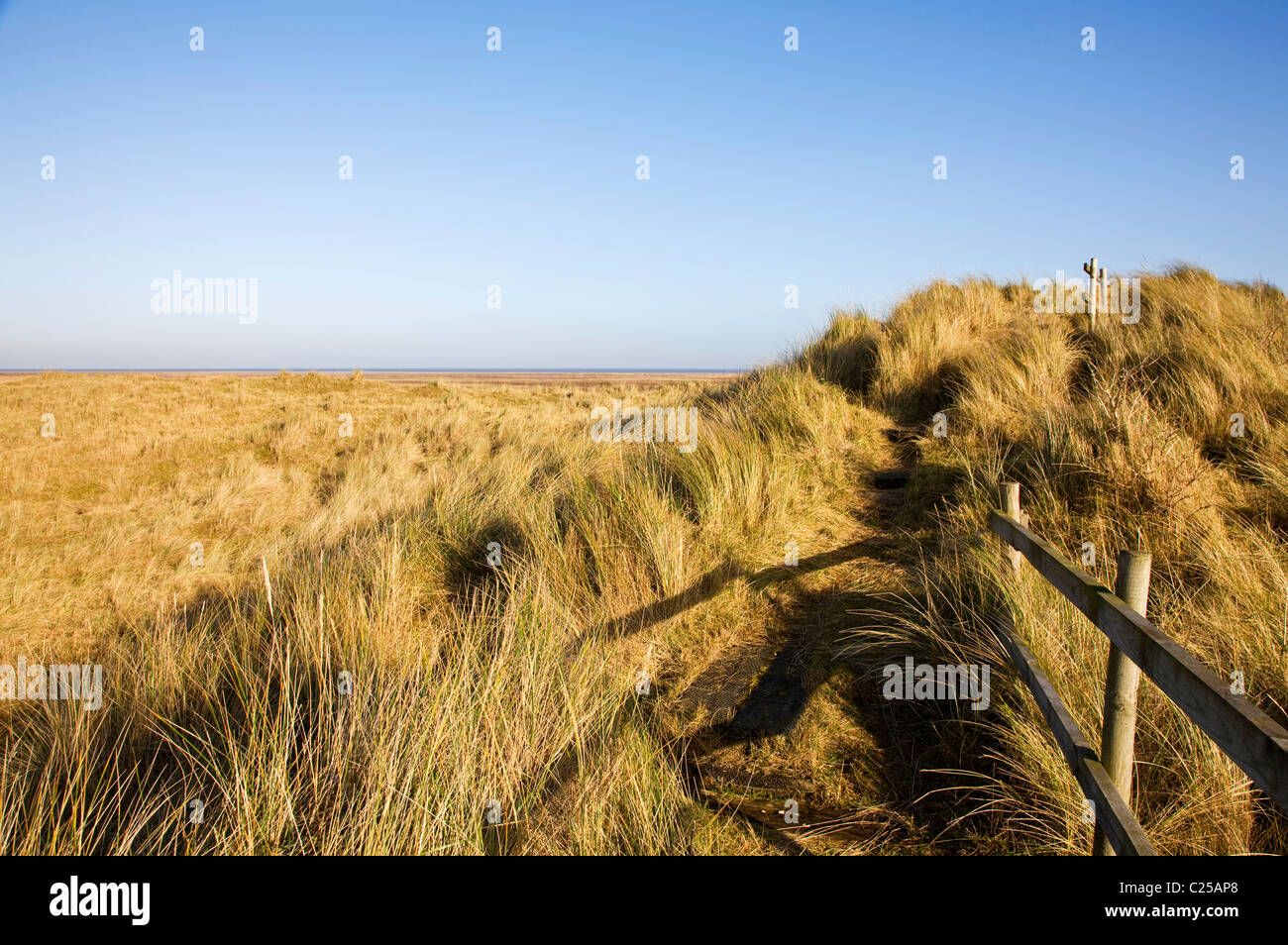 Dunes at the Rimac National Nature Reserve at Saltfleet Stock Photo