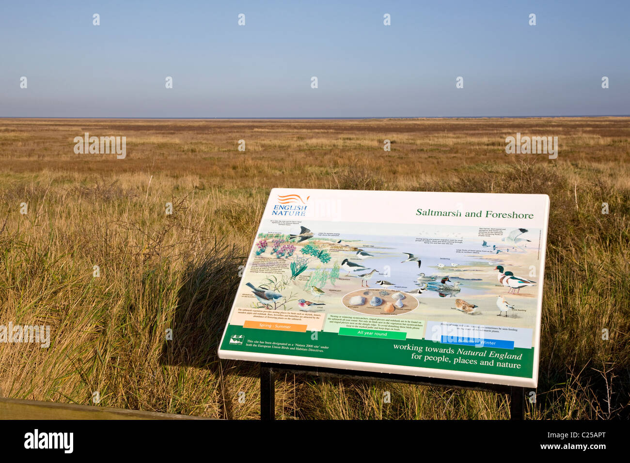 Sign for identifying birds at Rimac National Nature Reserve in the Saltfleet Dunes Stock Photo