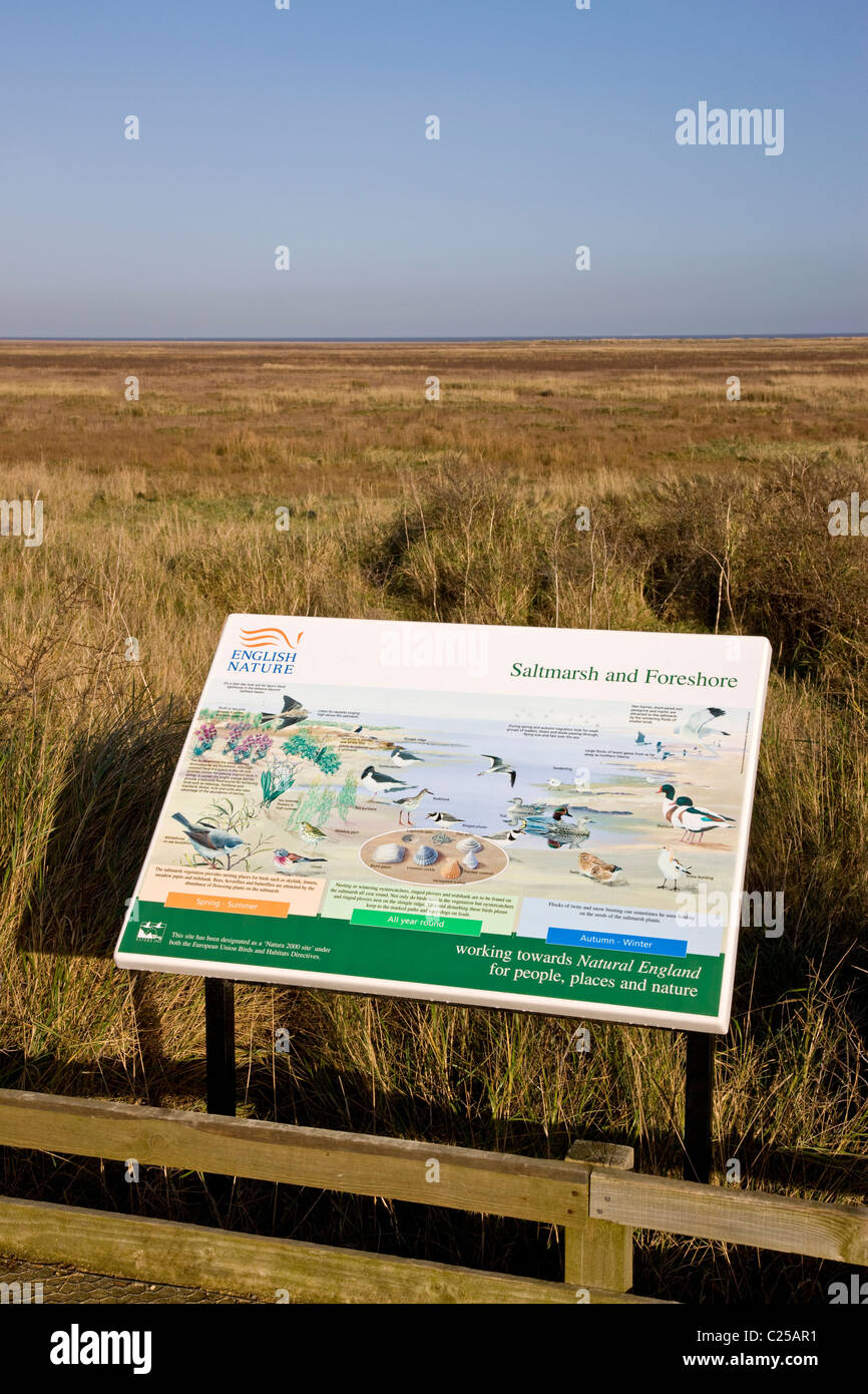 Sign for identifying birds at Rimac National Nature Reserve in the Saltfleet Dunes Stock Photo