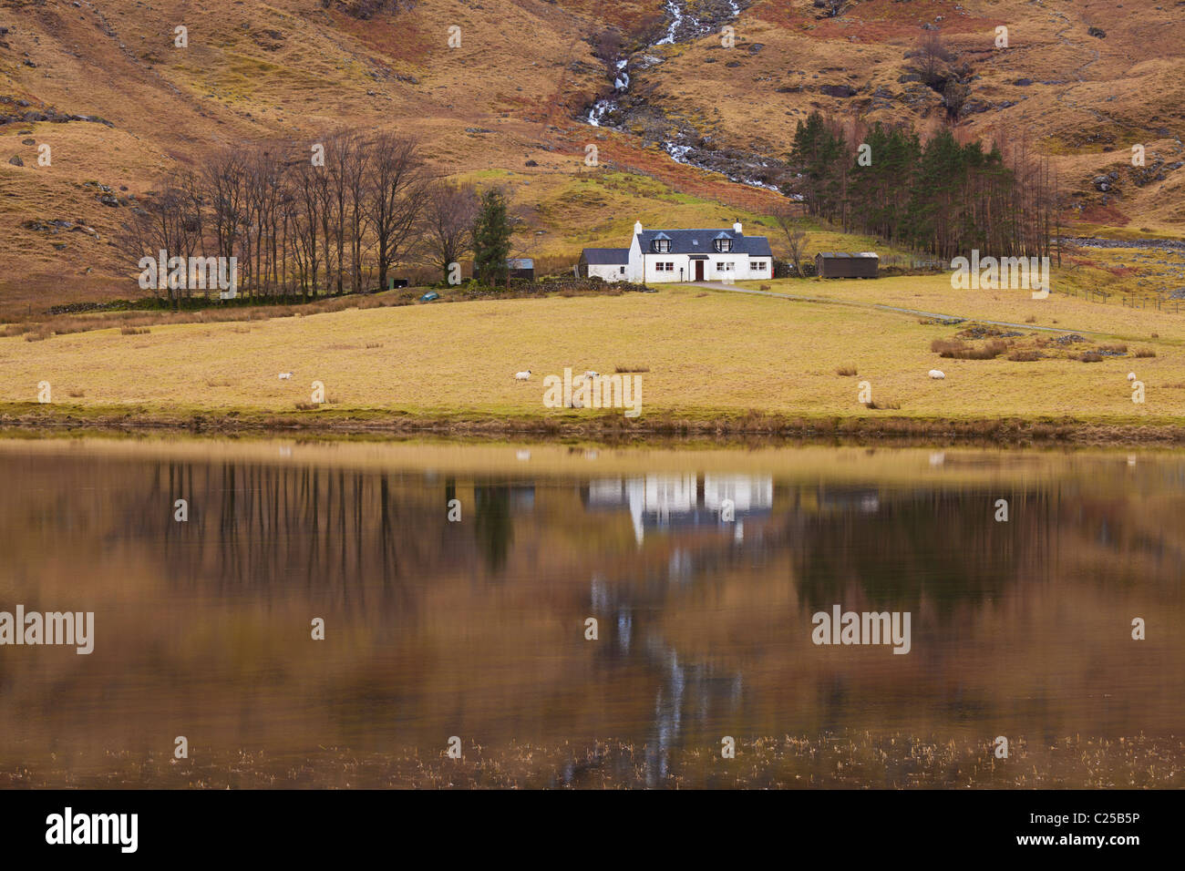 Achnambeithach farmhouse by Loch Achtriochtan The Scottish Highlands, Scotland, UK, GB, EU, Europe Stock Photo