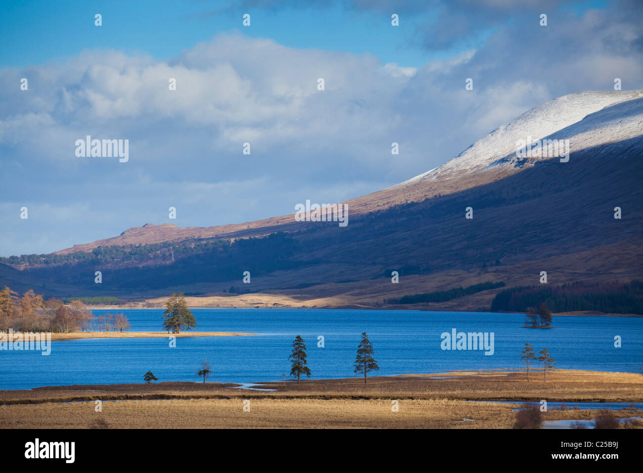 Caledonian pines surronunding Loch Tulla near Bridge of Orchy Argyll and Bute Scotland UK GB EU Europe Stock Photo