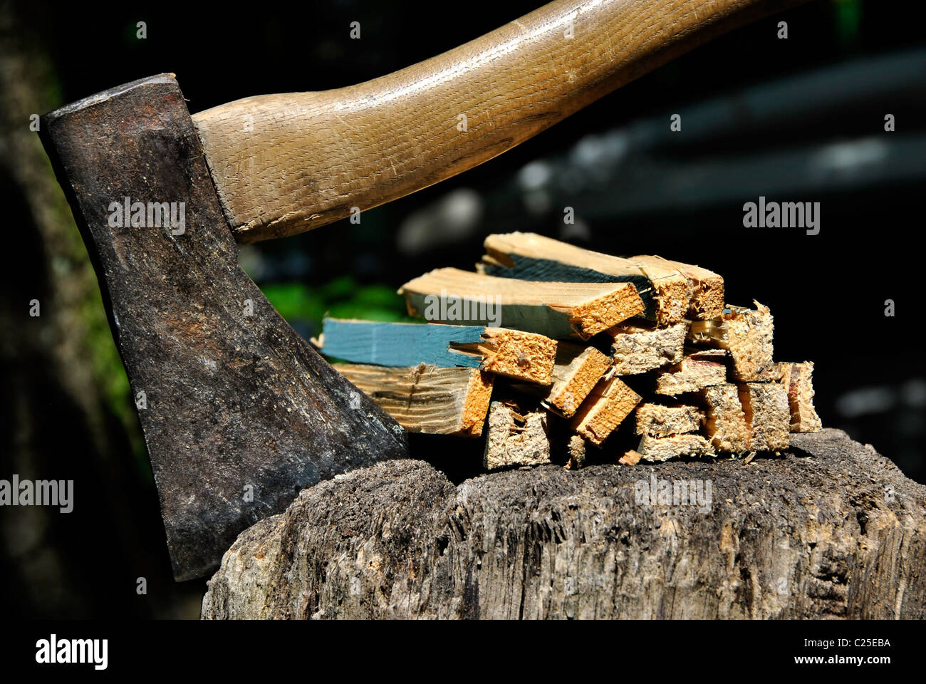 Old Axe stuck in a chopping block and splinters of wood with natural background closeup Stock