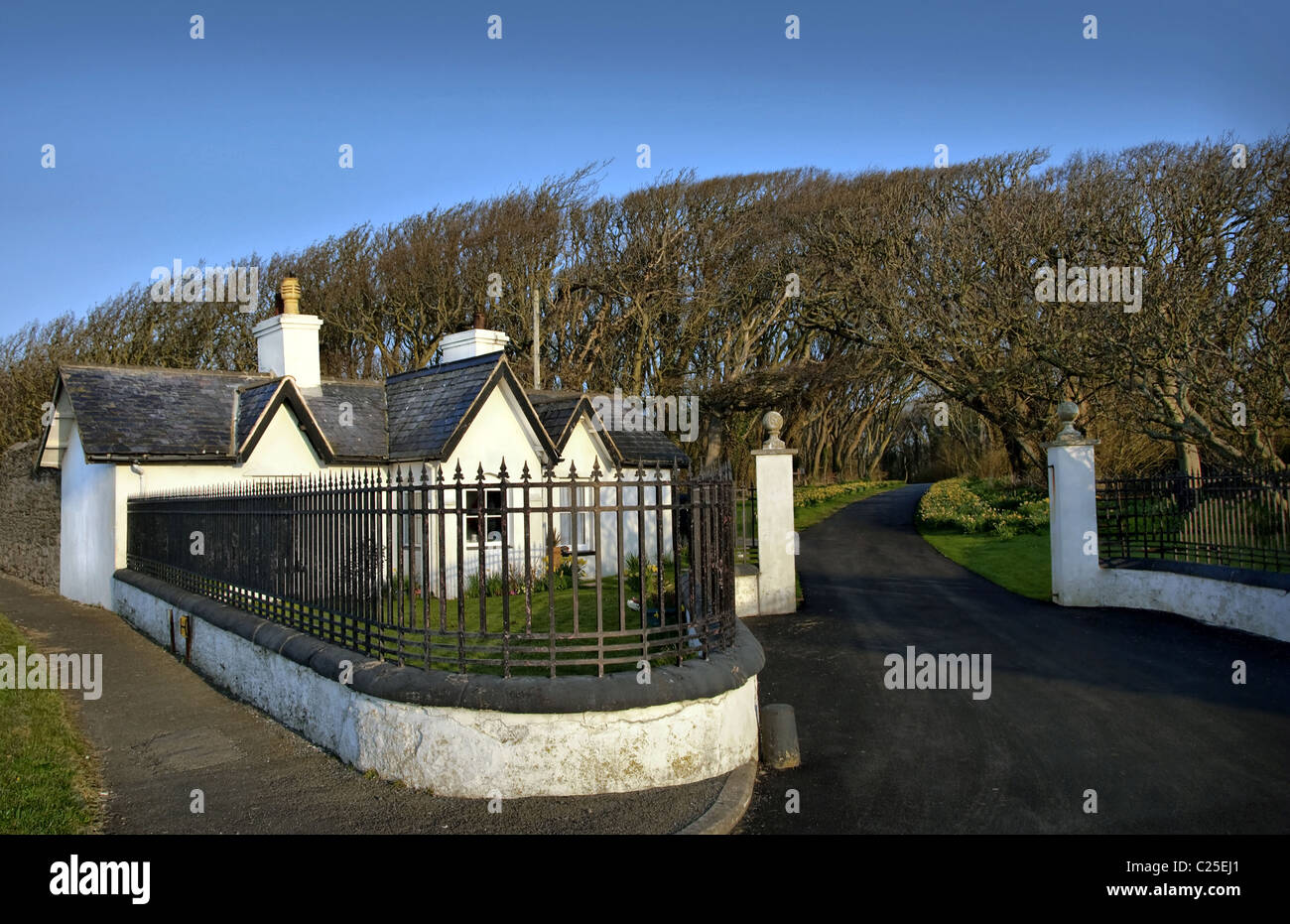 White Gate house and Driveway in Forest Stock Photo