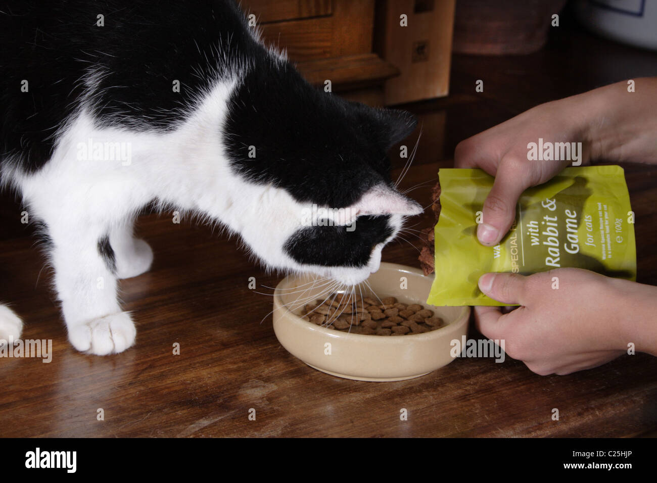 https://c8.alamy.com/comp/C25HJP/black-and-white-cat-being-fed-from-packet-C25HJP.jpg