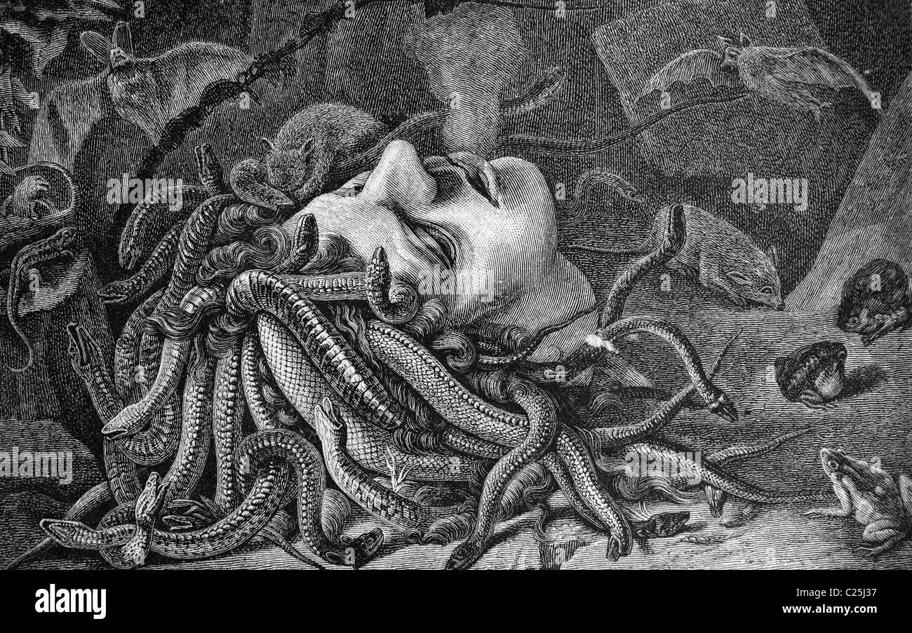 Head of Medusa, historic illustration, 1877 Stock Photo