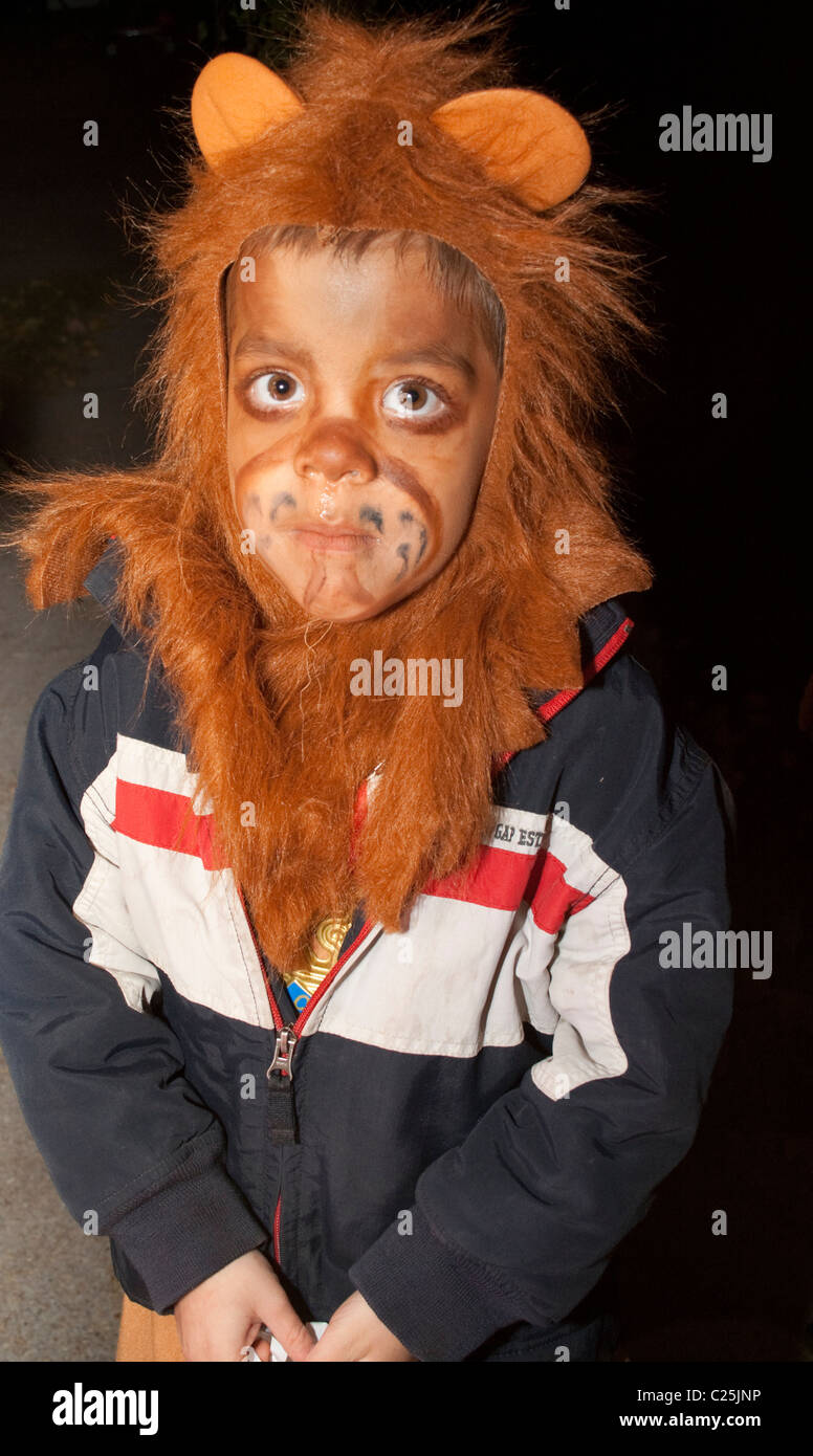 Halloween trick or treater costumed as a lion. St Paul Minnesota MN USA