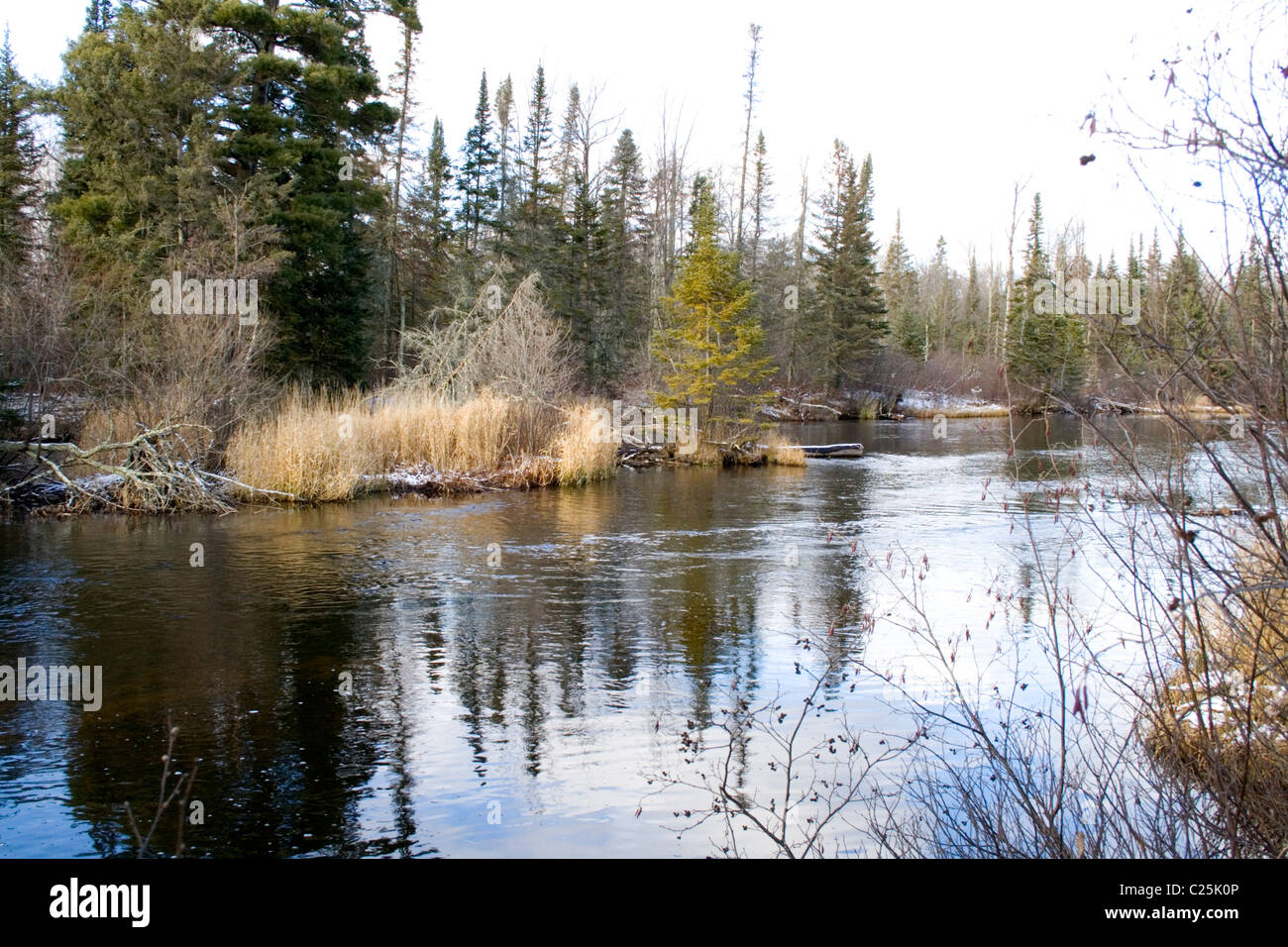 Pristine freshwater lake surrounded by evergreen trees and no sign of