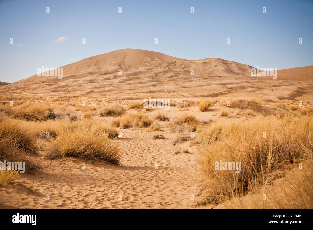 Kelso Dunes in the Mojave Desert in the Mojave National Preserve, Kelso, CA Stock Photo