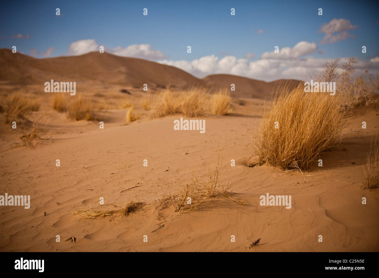 Kelso Dunes in the Mojave Desert in the Mojave National Preserve, Kelso, CA Stock Photo