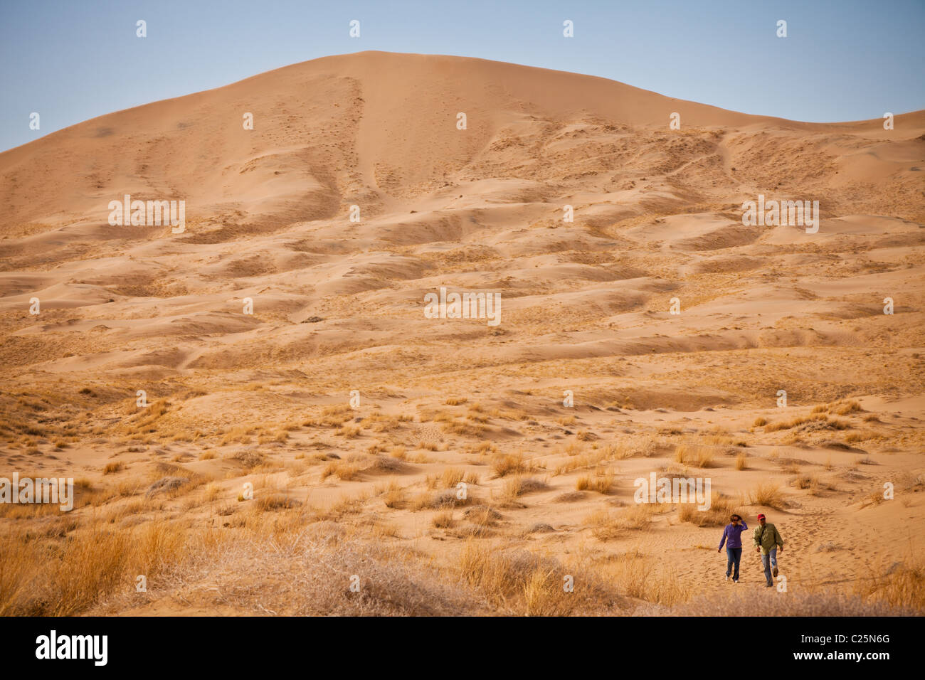 Kelso Dunes in the Mojave Desert in the Mojave National Preserve, Kelso, CA Stock Photo