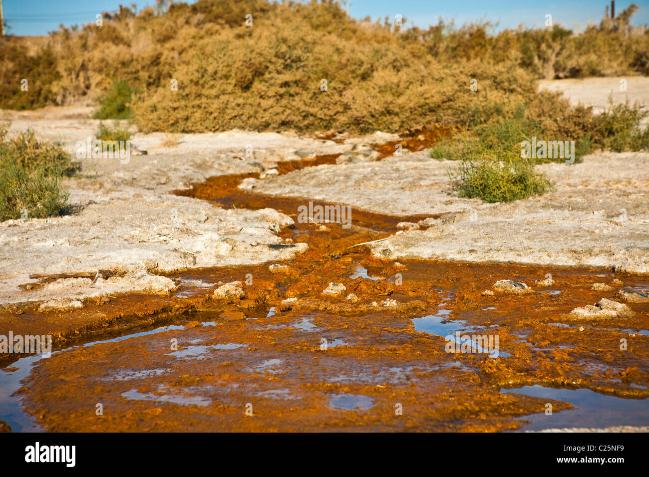 Toxic run off drains into the Salton Sea Imperial Valley, CA Stock Photo Alamy