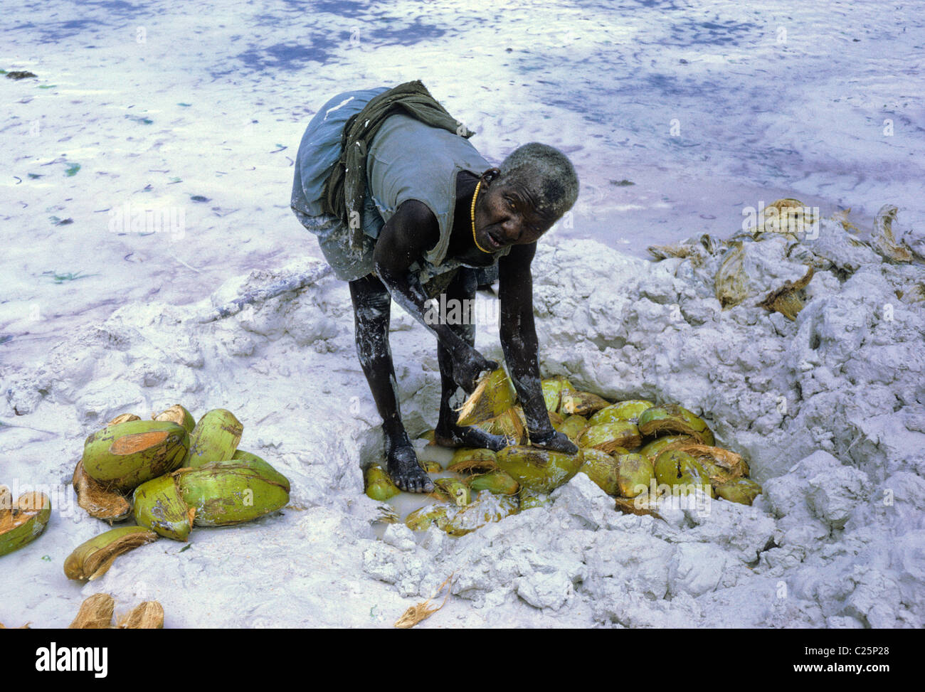 Jambiani, Zanzibar, Tanzania. Woman Gathering Coir (Coconut Husks) after Soaking Several Weeks in Sea Water. Stock Photo