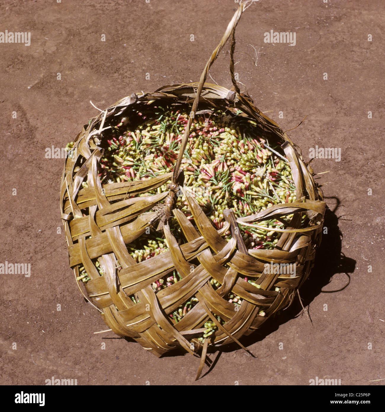 Zanzibar, Tanzania, East Africa. A basket made of palm fronds full of
