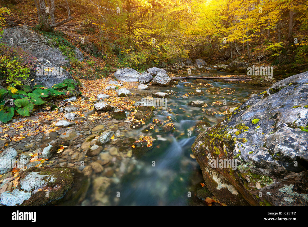 River in autumn forest. Nature composition Stock Photo - Alamy