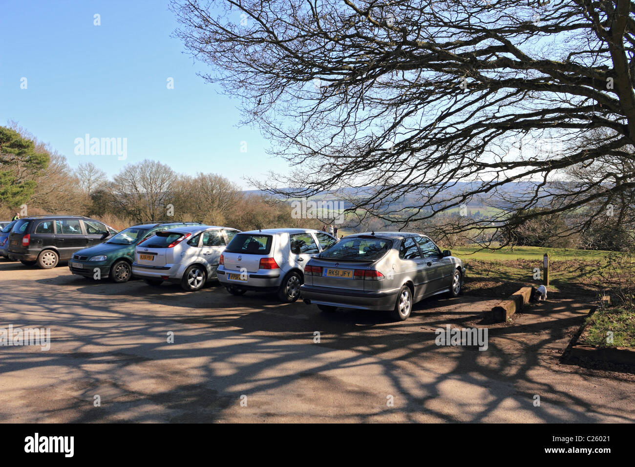 Newlands Corner on Albury Down part of the North Downs near Guildford