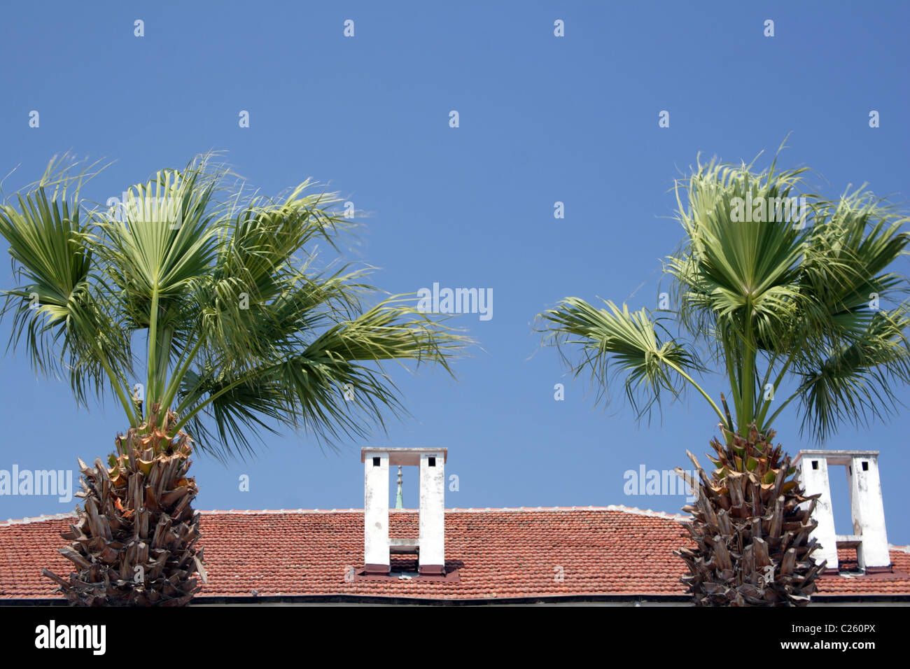 Trees and rooftop, Turkey, Eurasia Stock Photo