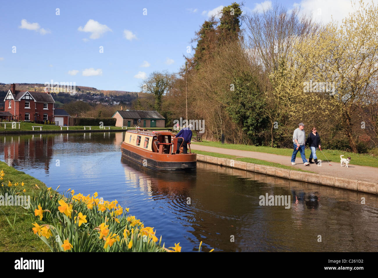 People walking on Offa's Dyke path beside Llangollen canal with daffodils in spring. Froncysyllte, Wrexham, North Wales, UK Stock Photo