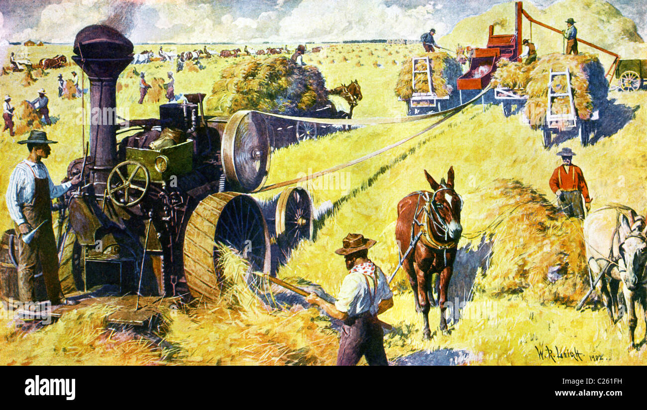 Индустриализация при александре 3. Аграрное хозяйство Англии 18-19 век. Сельское хозяйство Англия 19 век. Аграрный сектор Германии 19 век. Промышленная революция в Англии 19 век.
