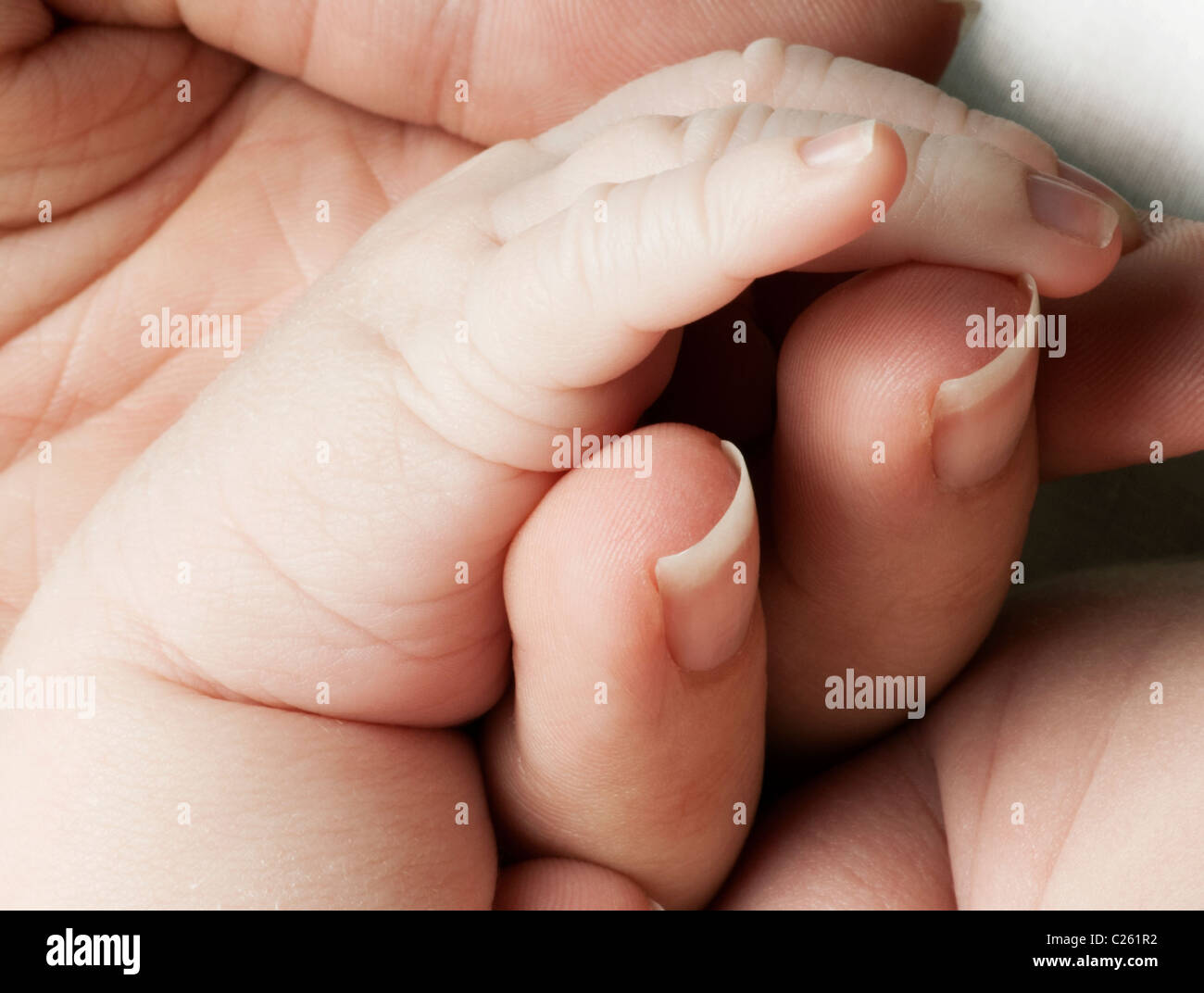 close-up of baby's hand being held in mother's hand Stock Photo