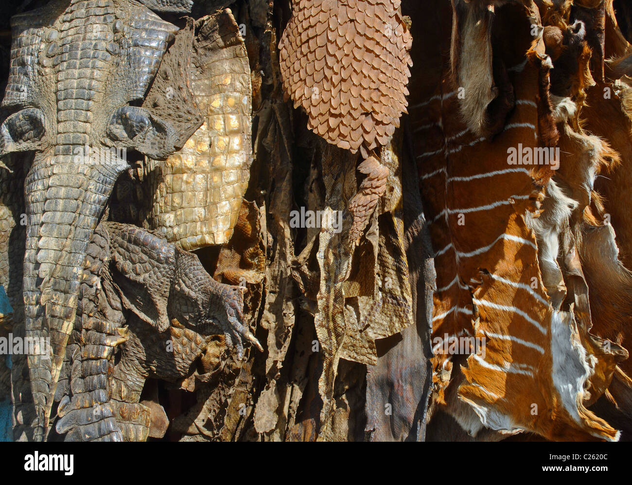 Animal skins in Ivory Coast Stock Photo