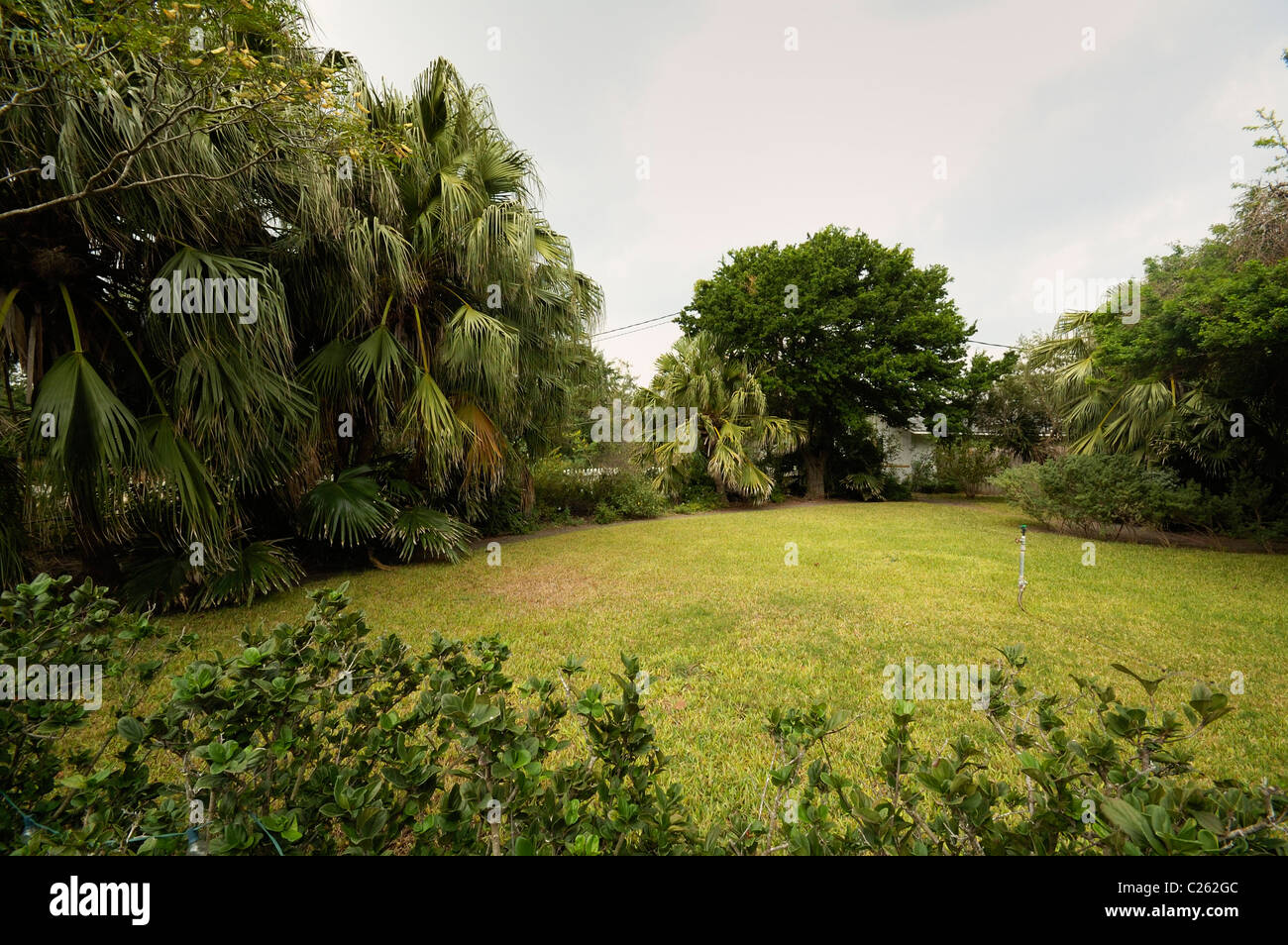 Southern Texas lawn Stock Photo Alamy