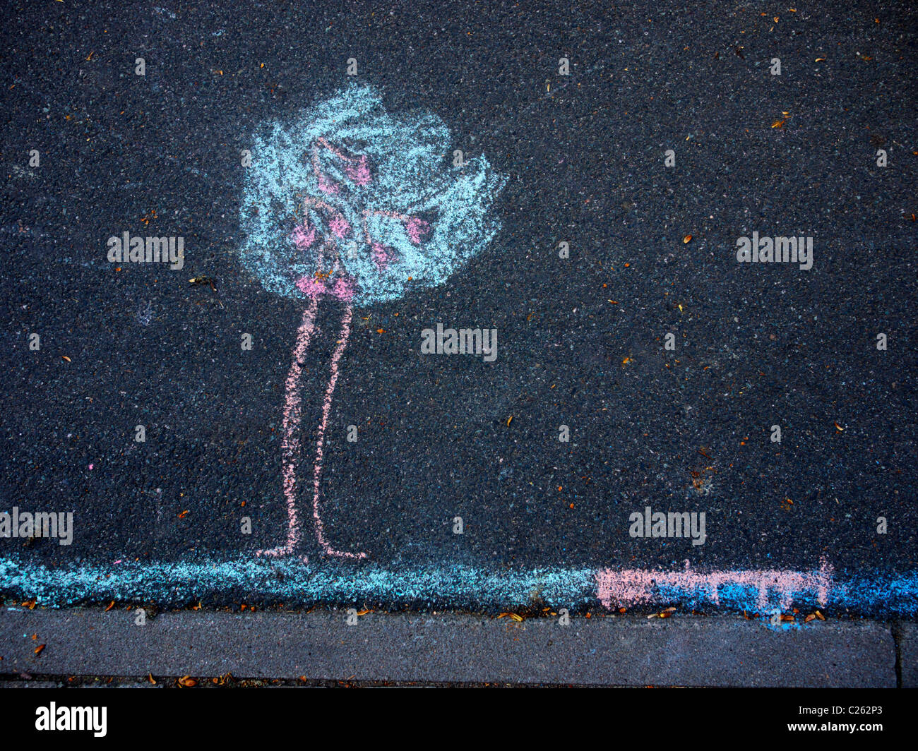 Chalk drawing depicting a tree on the street Stock Photo Alamy