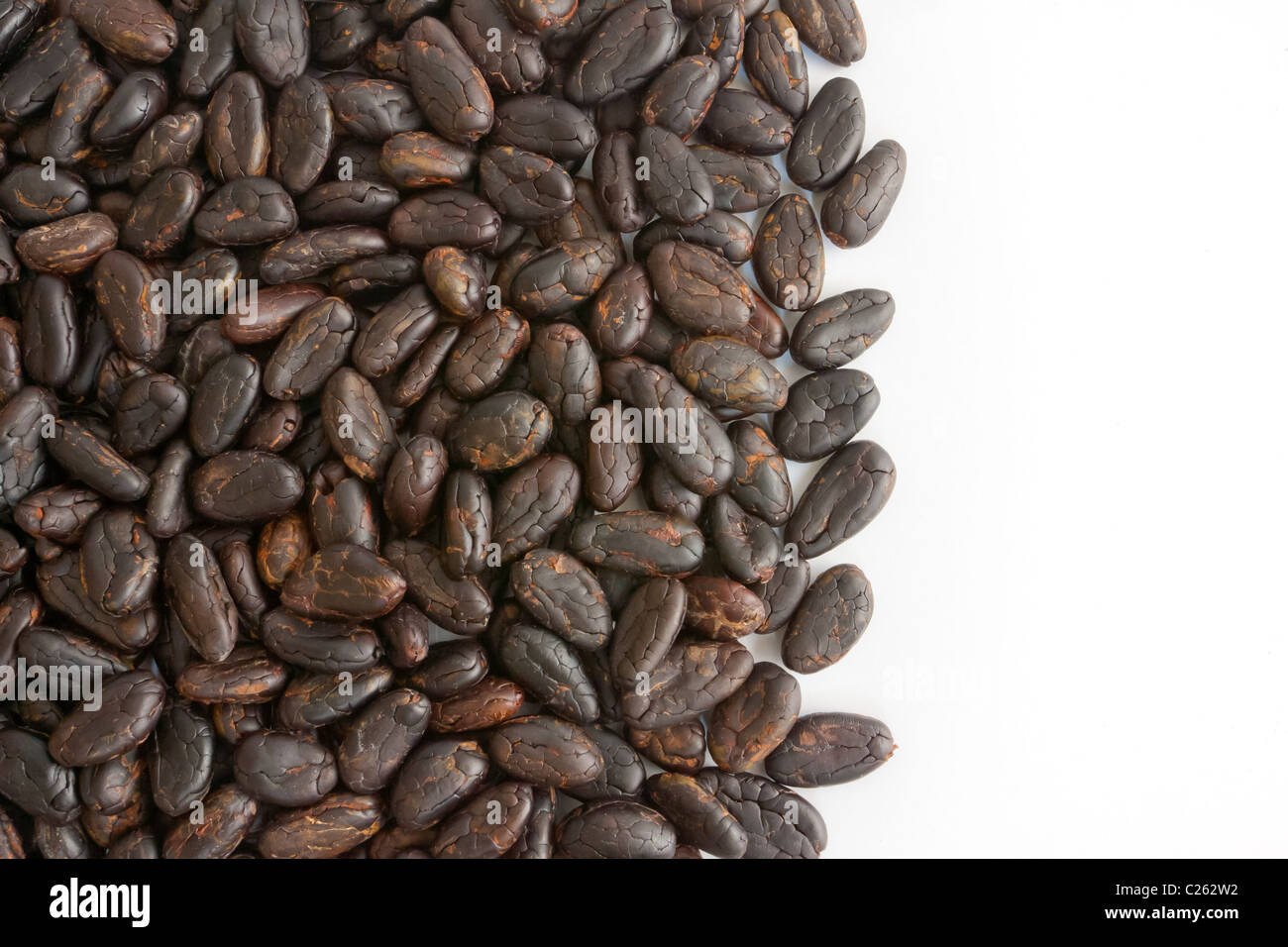 Cocoa beans from Madagascar isolated on white background Stock Photo