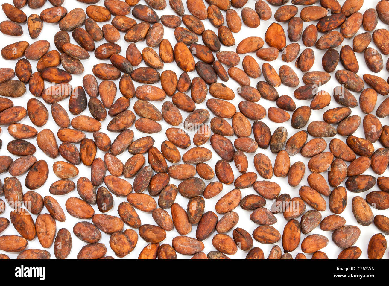 Cocoa beans from Madagascar isolated on white background Stock Photo