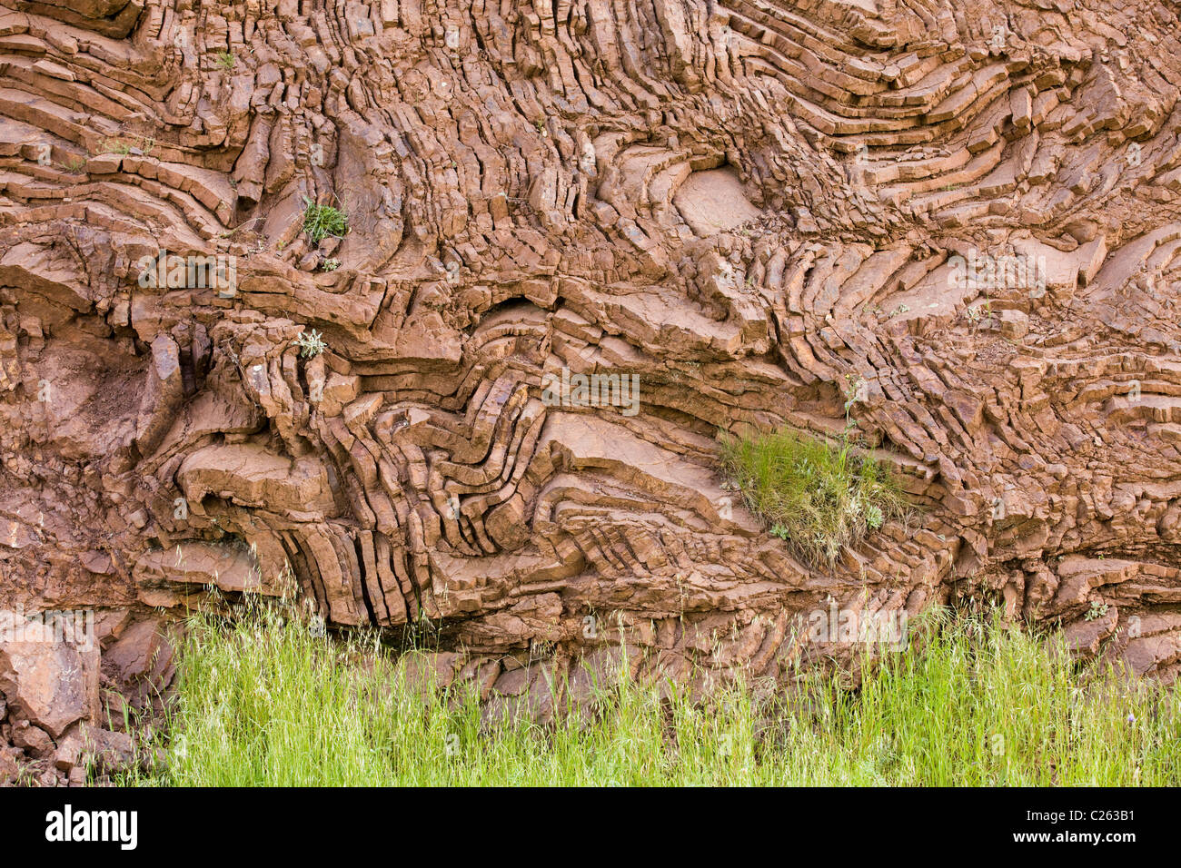 Exposed layers of folded, iron rich chert rock in Northern California coast Stock Photo