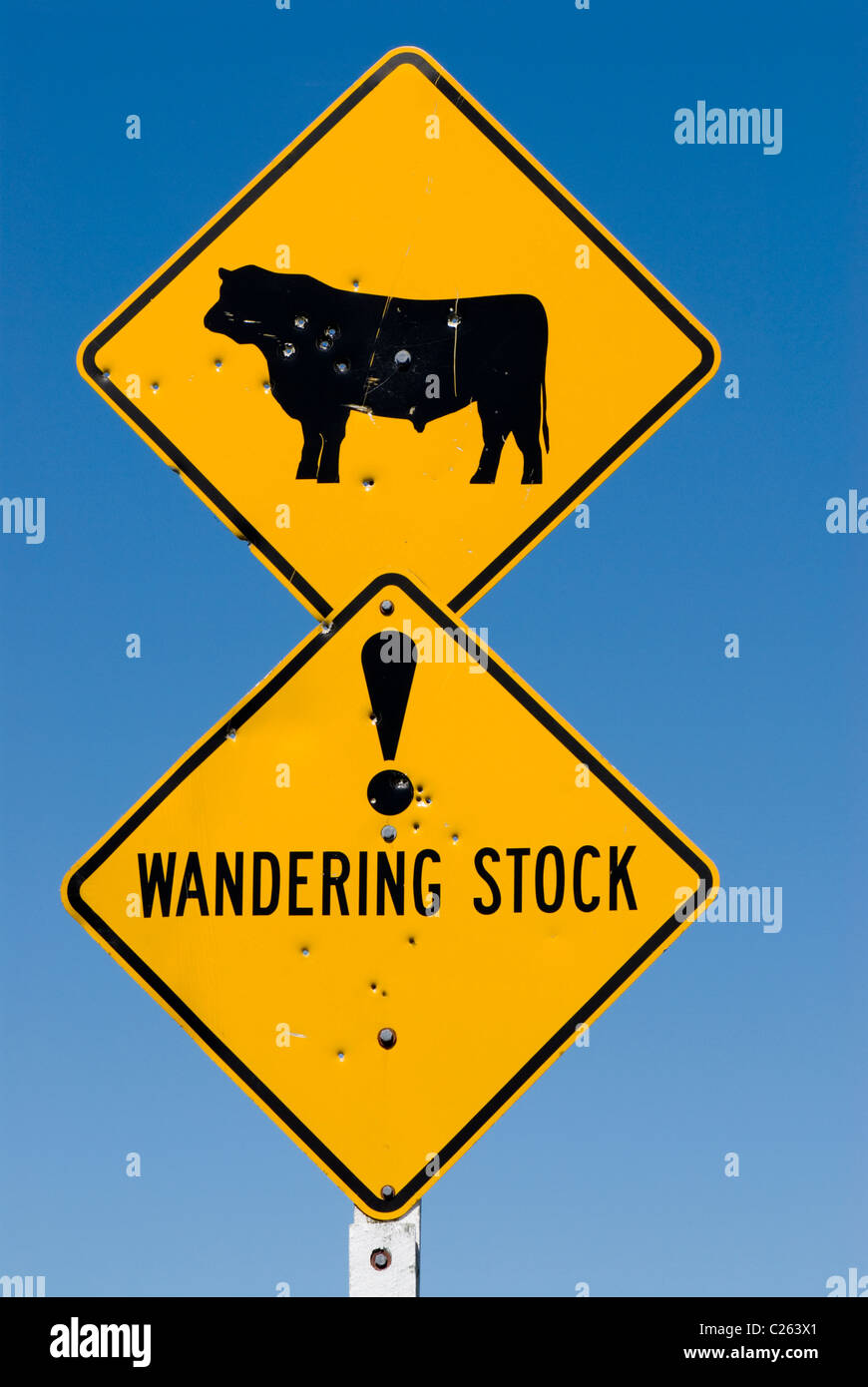 Wandering stock warning sign with bull and exclamation mark. Stock Photo