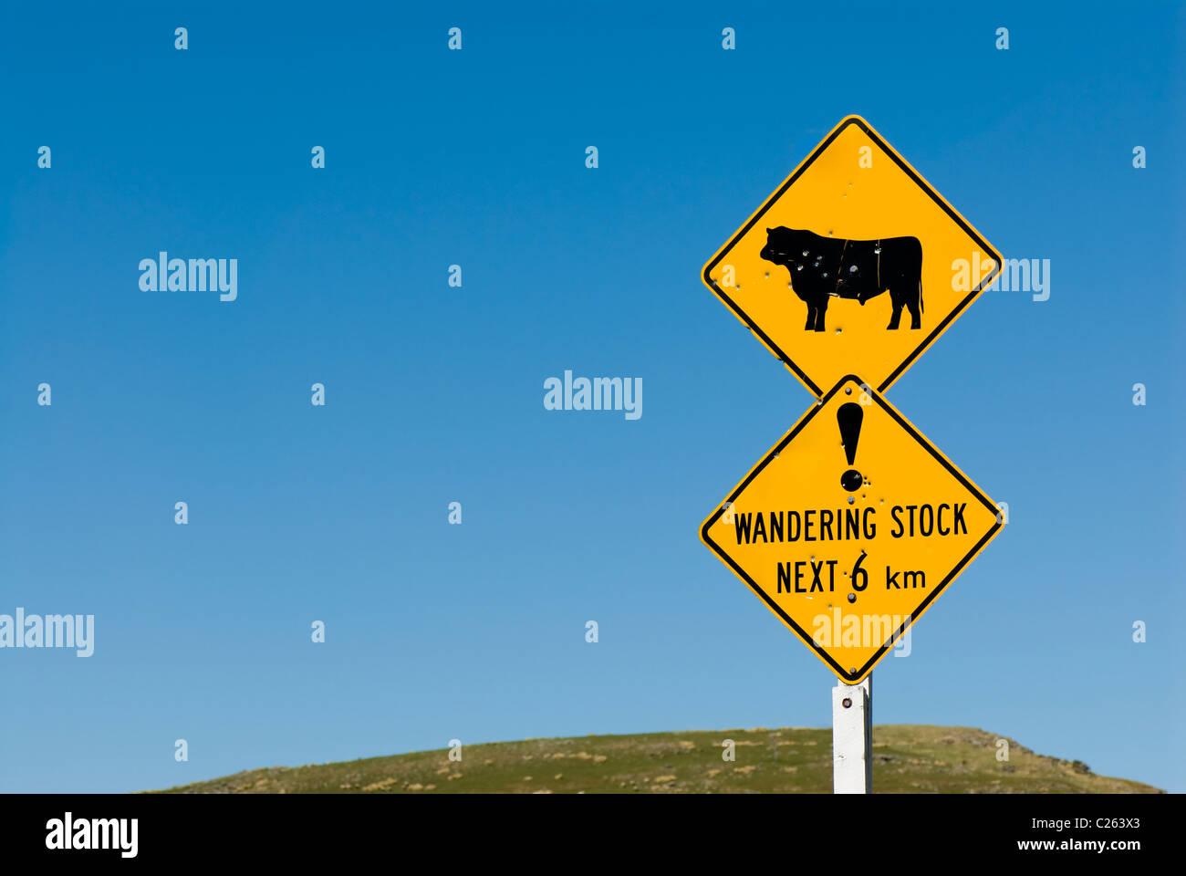 Wandering stock sign with bull and exclamation mark Stock Photo - Alamy