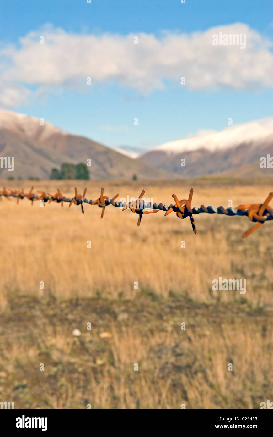 New Zealand high country barbed wire Stock Photo