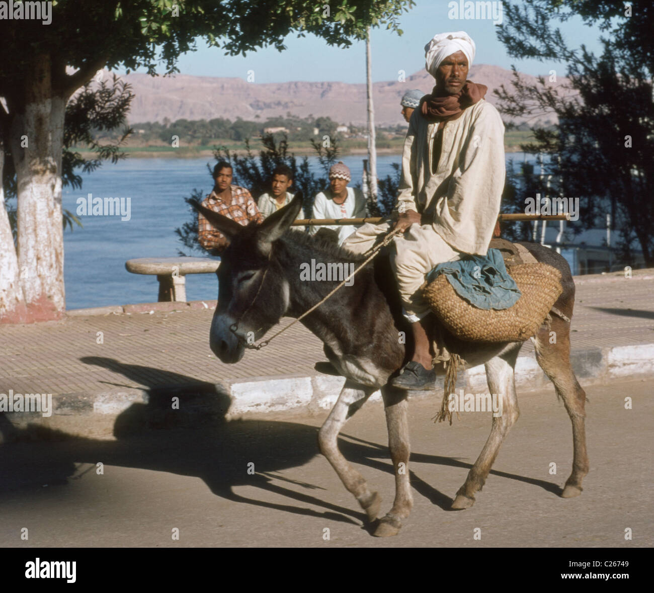 Egypt Luxor Donkey & River Nile Stock Photo - Alamy