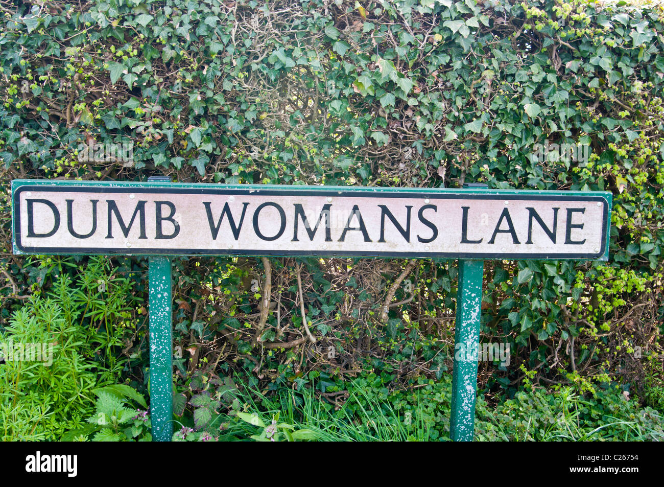 Dumb Womans Lane Amusing UK Roadsign Stock Photo