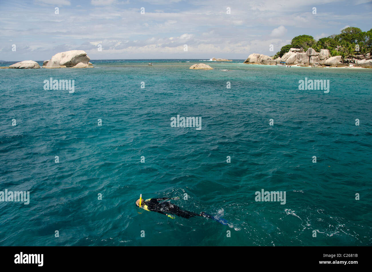 Indian Ocean, Seychelles, Coco Island. Snorkeling along the coast of