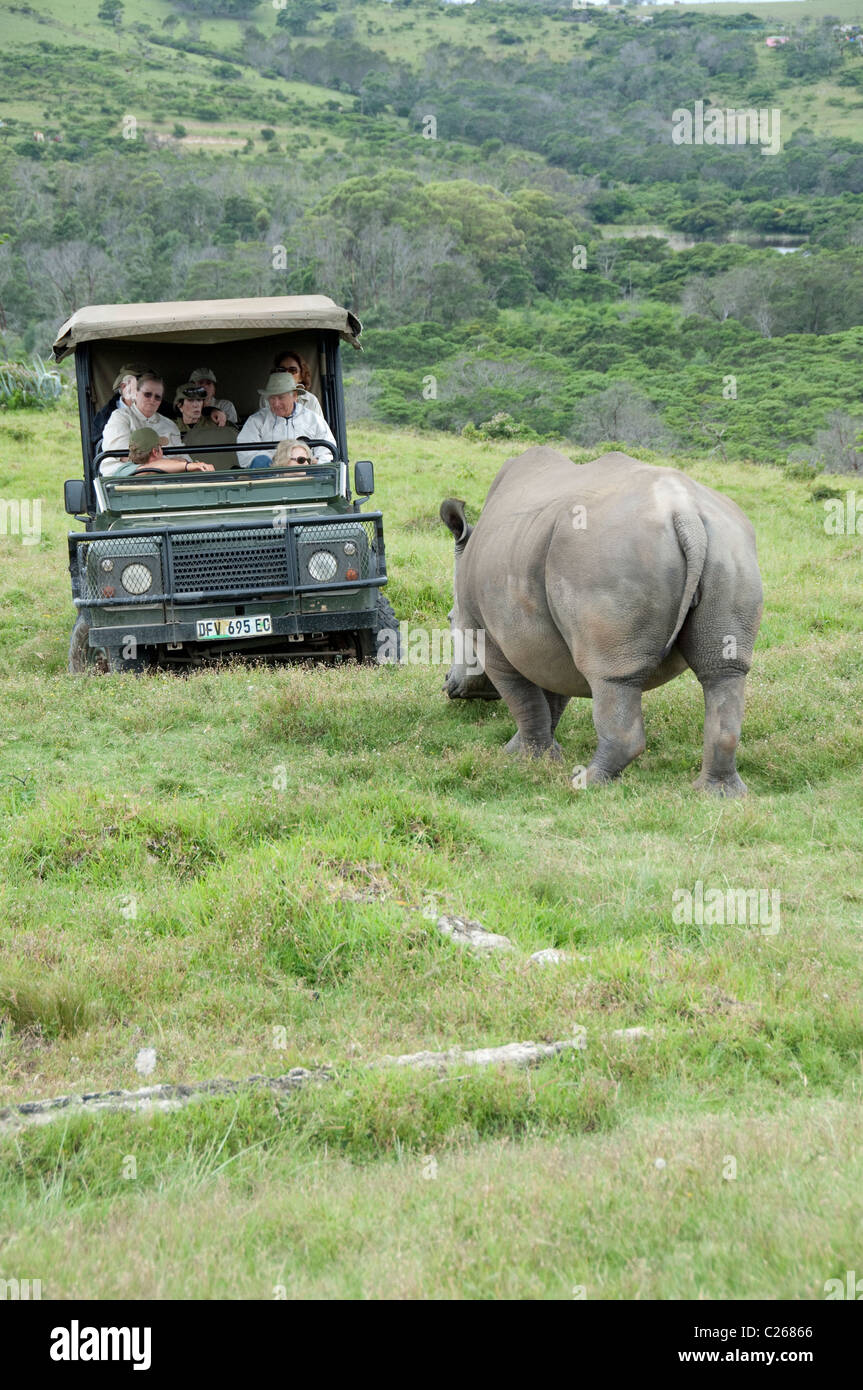 South Africa, Eastern Cape, East London, Inkwenkwezi Private Game Reserve. Stock Photo