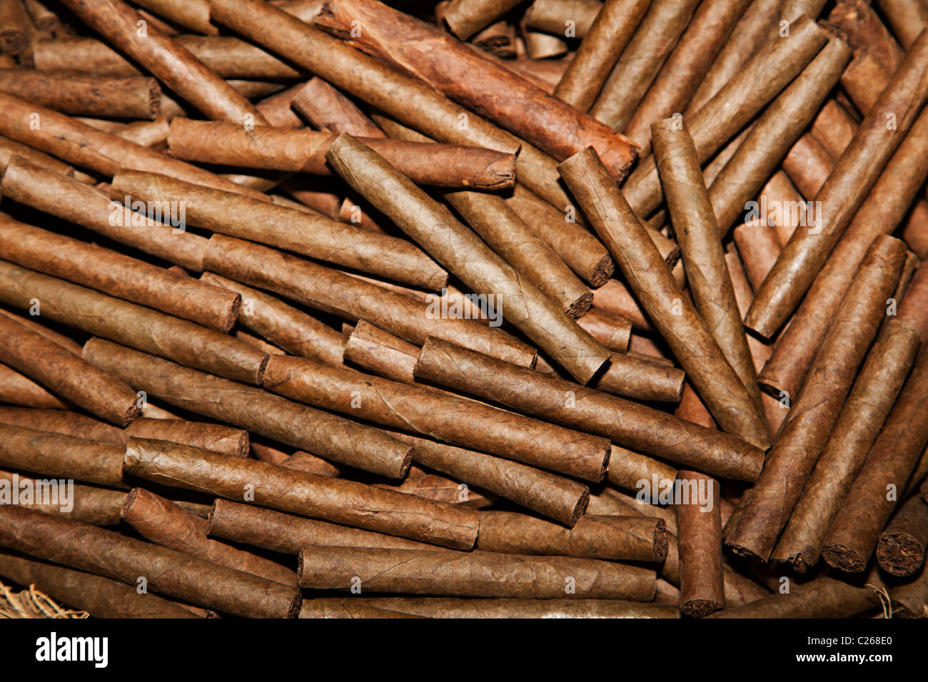 Cigars being manufactured ready wrapping hires stock photography and