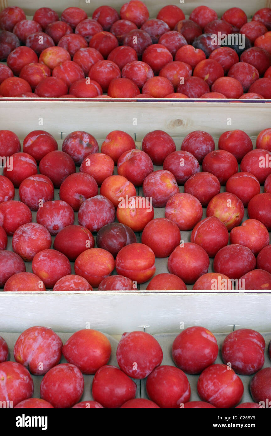 English plums hires stock photography and images Alamy